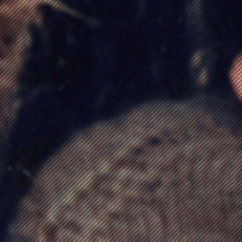 slide5-block8-barbara2