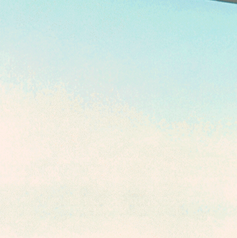 slide8-block1-alisha