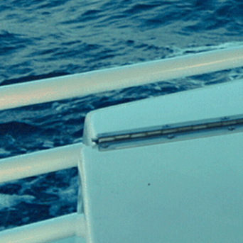 slide8-block7-alisha